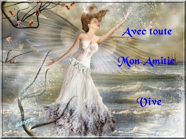 Pour toi Vivelavie
