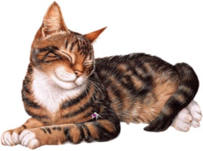 Mes Tubes Chats sur fond transparent.servez,vous