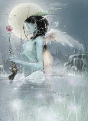 Les Anges, efles, fées...