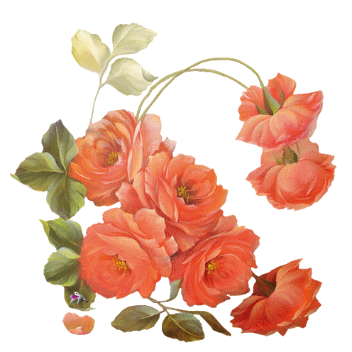 Mes tubes Fleurs sur fond transparent, servez,vous