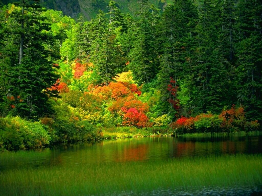 les paysages